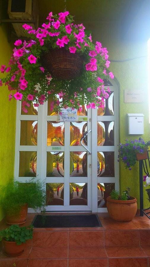 Motel Ioanis Mîndruloc Zewnętrze zdjęcie