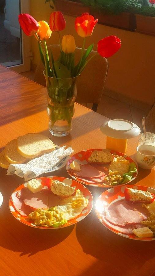 Motel Ioanis Mîndruloc Zewnętrze zdjęcie